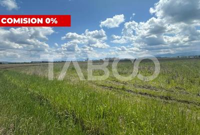 Teren PUZ aprobat intravilan 9000 mp de vanzare zona industriala vest - 2