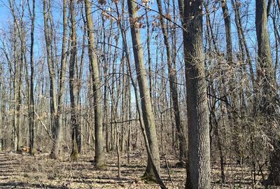 Teren de 2000 mp, în Petrești - 4