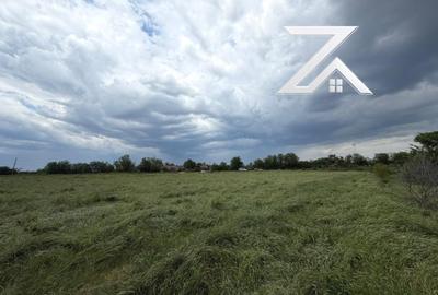 Teren Construcții intravilan de 9375 mp, în Cernele - 2