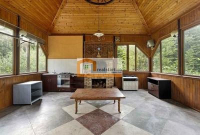 Breaza, Vedere Padure, 5000mp teren, D+P+1E+M, semineu, foisor - 34