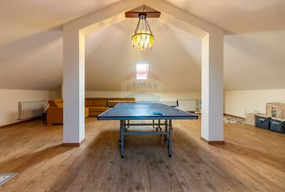 Vilă P+E+M cu 4 camere, 320 mp, Berceni/Ilfov - 23