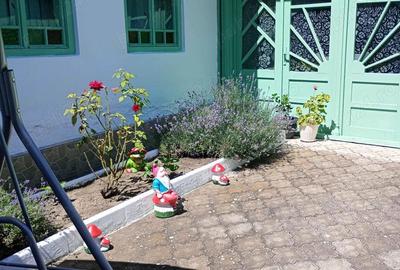 Casă cu 3 camere în Ciortea - 6