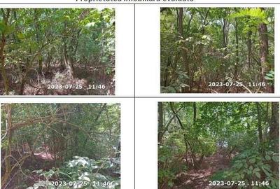 Teren extravilan padure, cota parte de 1/48 Horgesti, ID: R2325836 - 4