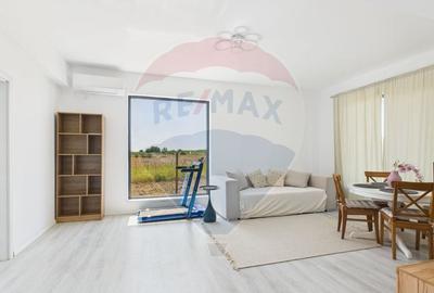 Casa utilata 4 camere in Gradistea, langa padure, zona superba - 4