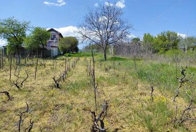 Teren intravilan de vanzare 3.250 mp in Filesti, jud. Gala?i -65,000 euro neg. - 1