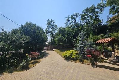 Casa P+M de vanzare in Hemeius - 5