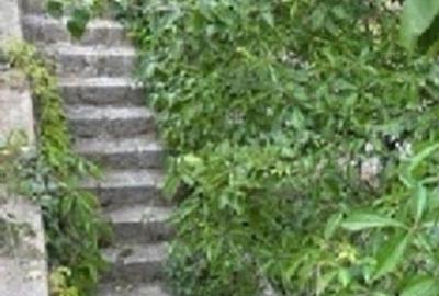 Proprietăți Istorice Brașov - 6