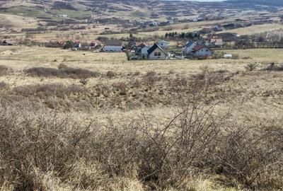 Teren Construcții intravilan de 1253 mp, în Borhanci - 7