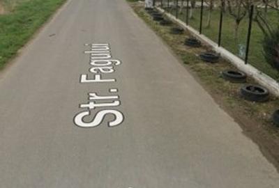 Vanzare Teren Rezidential 1 Decembrie Ilfov 35000mp - 5