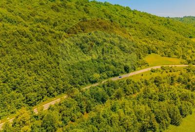 COMISION 0% Cumpărător | Teren intravilan 3.750 mp – DN1A Săcele | - 6