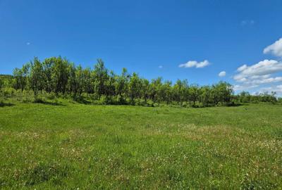 Teren de 3500 mp, în Bârlea - 3