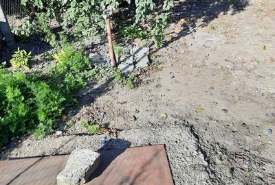 Casă cu 3 camere în Dumbrăveni - 7