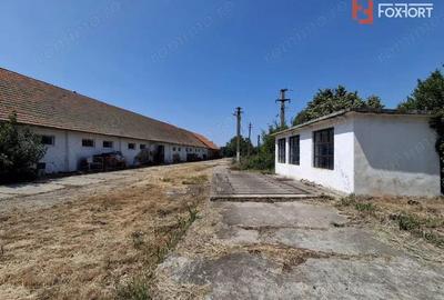 COMISION 0% Spatiu industrial de 695 mp si teren de 1821 mp - Giulvaz - 16