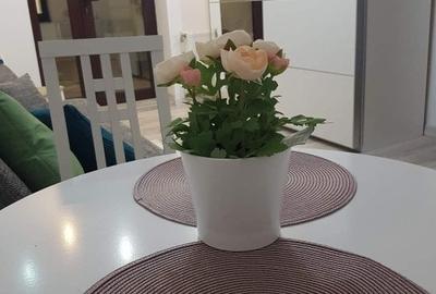 Apartament 2 camere mobilat si utilat contorizat ,centrala de bloc. - 5