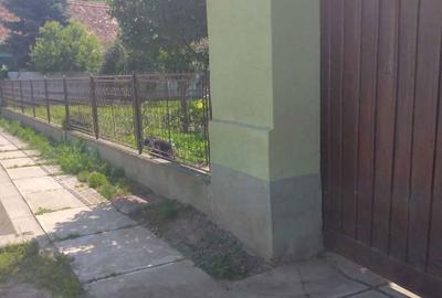 Casă cu 4 camere în Biertan - 2