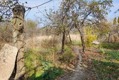 Teren 1160 mp + casa batraneasca, zona Cosoveni - 5