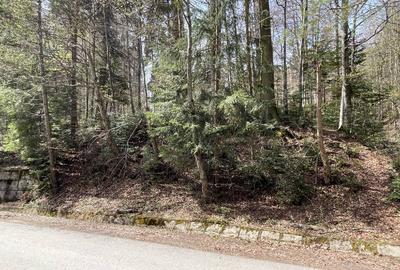 Teren Construcții intravilan de 1136 mp, în Furnica - 6