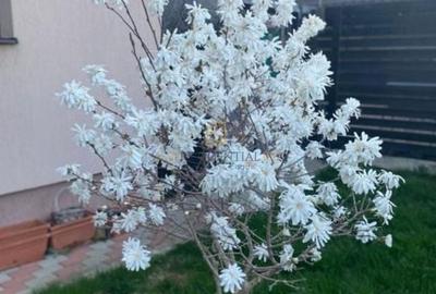 Vila individuala, teren 340 mp, Strada Tuberozelor, Comuna Berceni, If - 10