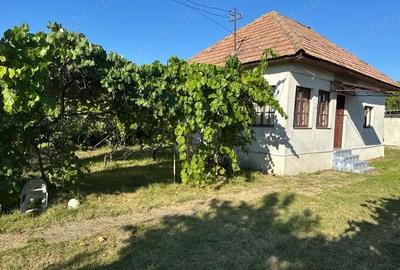 Casă cu 2 camere cu Teren 3000 Mp în Ciofrângeni - 4