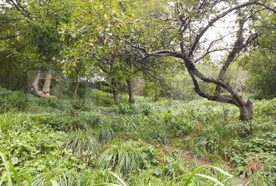 Casa in Rasnov, 90 mp2, teren 1000mp. - 1