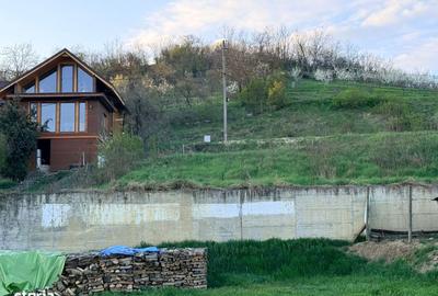 Spațiu comercial, în Cuștelnic - 3