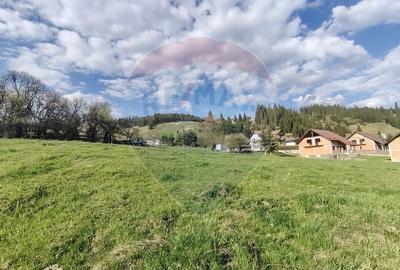 Teren Construcții intravilan de 2421 mp, în Periferie - 11