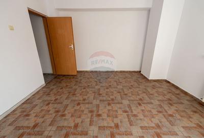 Vila de inchiriat, nemobilata, multifunctionala,  Aparatorii Patriei - 18