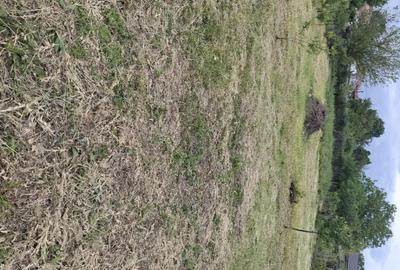 Casă cu 3 camere în Corni