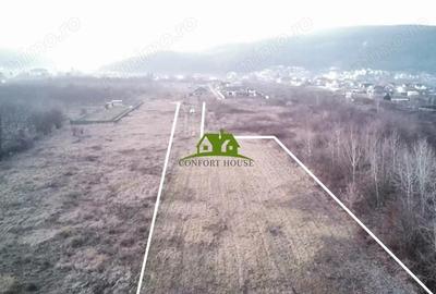 Teren de 3350 mp, în Bujoreni - 2