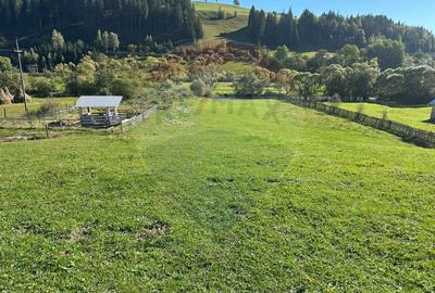 Casa in Vatra Dornei, zona Argestru, cu 11.541m.p. TEREN INTRAVILAN - 16