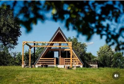 Casă cu Teren 7000 Mp în Aluniș - 6