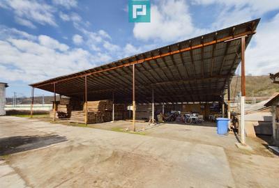 Spațiu comercial, de 1,280 mp, în Șoimoș - 5