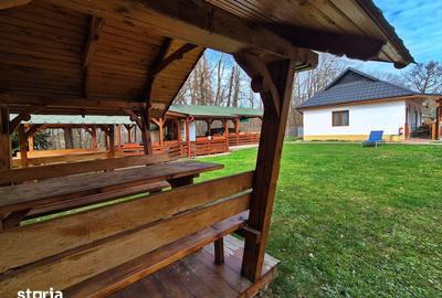 Casă cu 9 camere cu Teren 3500 Mp în Ocna Șugatag - 19