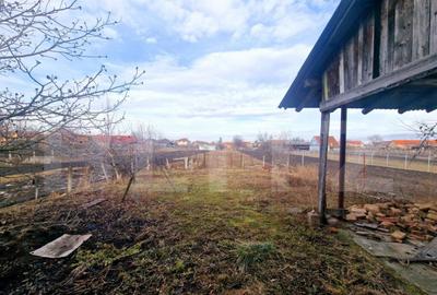 Casa 4 camere, 2432 mp teren - 30