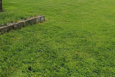 Apartament la casa .str Anton Pann Apartament la casa .str Anton Pann - 2