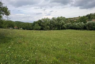 Teren de 1500 mp, în Fetindia - 4