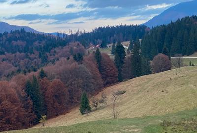 Garsonieră de vânzare la Partia Clabucet, Predeal - 6