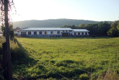 Clădire industrială cu birouri si apartament - 2