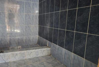 Casă cu 2 camere cu Teren 1585 Mp în Brănișca - 11