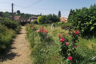 Casa individuala cu gradina frumoasa, teren mare Moldovenesti-Cluj - 3
