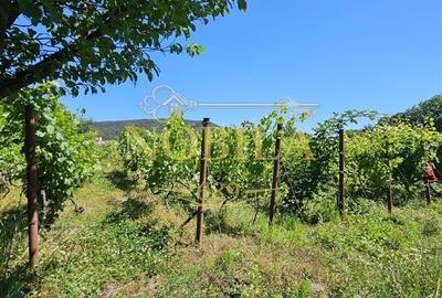 Spațiu comercial, în Central - 6