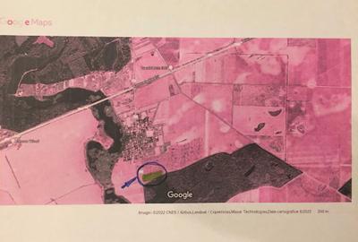 Teren de 5000 mp, în Brănești