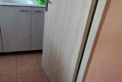 Garsoniera zona Parc IOR - Titan - Constantin Brancusi - 1