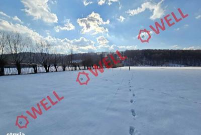 Spațiu comercial, în Buzăiel - 6