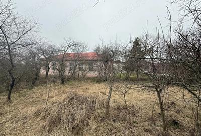 Teren de 1100 mp, în Murgași - 1