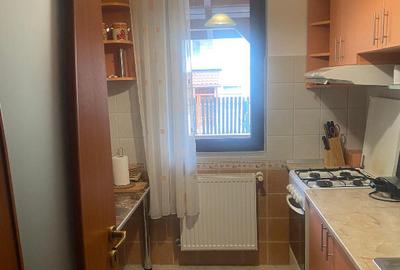 Vila de vacanta situata in Busteni - 3