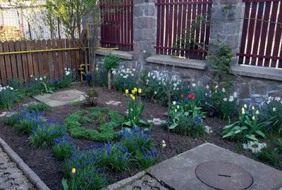 Casă cu 6 camere cu Teren 730 Mp în Simeria - 8