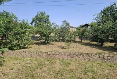 CASA MARE in Nadlac cu teren generos 2095mp - 1