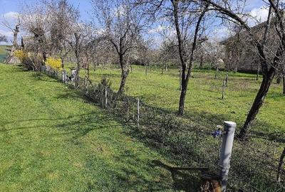 Casă cu 3 camere cu Teren 6100 Mp în Constantinești - 8