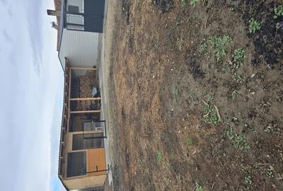 Vand casa cu gradina in Ciumeghiu - 10